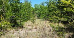 21.979 m2 sobre ruta en San Huberto, Nono. OPORTUNIDAD (RETASADO)