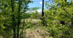 21.979 m2 sobre ruta en San Huberto, Nono. OPORTUNIDAD (RETASADO)