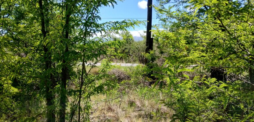 21.979 m2 sobre ruta en San Huberto, Nono. OPORTUNIDAD (RETASADO)