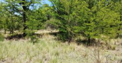 21.979 m2 sobre ruta en San Huberto, Nono. OPORTUNIDAD (RETASADO)