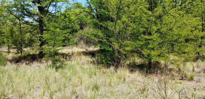 21.979 m2 sobre ruta en San Huberto, Nono. OPORTUNIDAD (RETASADO)