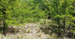 21.979 m2 sobre ruta en San Huberto, Nono. OPORTUNIDAD (RETASADO)