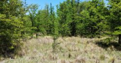 21.979 m2 sobre ruta en San Huberto, Nono. OPORTUNIDAD (RETASADO)