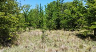 21.979 m2 sobre ruta en San Huberto, Nono. OPORTUNIDAD (RETASADO)