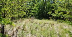 21.979 m2 sobre ruta en San Huberto, Nono. OPORTUNIDAD (RETASADO)