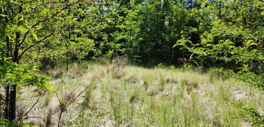 21.979 m2 sobre ruta en San Huberto, Nono. OPORTUNIDAD (RETASADO)