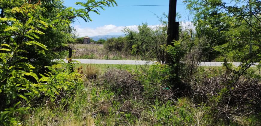 21.979 m2 sobre ruta en San Huberto, Nono. OPORTUNIDAD (RETASADO)