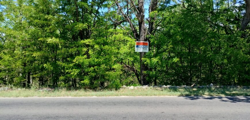 21.979 m2 sobre ruta en San Huberto, Nono. OPORTUNIDAD (RETASADO)