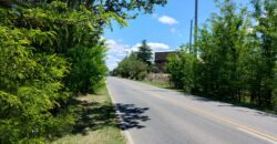 21.979 m2 sobre ruta en San Huberto, Nono. OPORTUNIDAD (RETASADO)