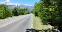 21.979 m2 sobre ruta en San Huberto, Nono. OPORTUNIDAD (RETASADO)