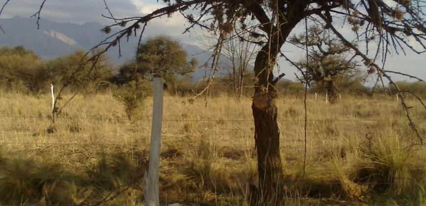 Fracciones de terreno zona Museo Rocsen