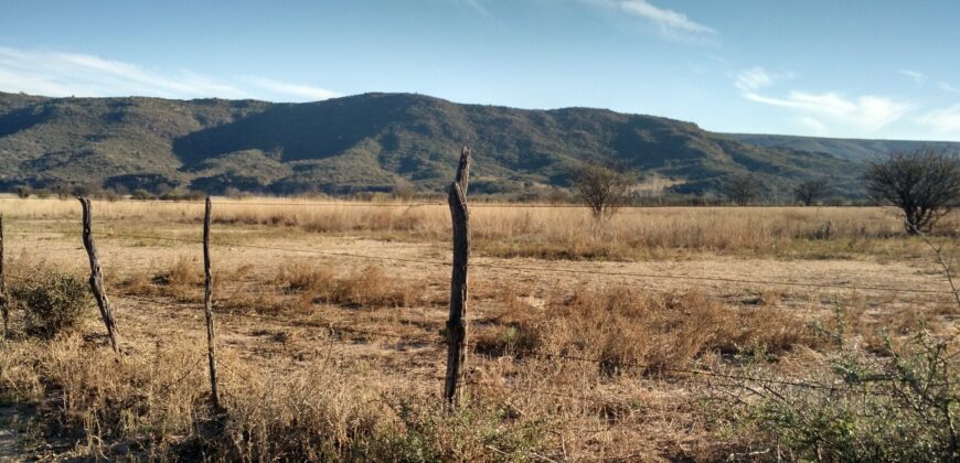 Fracción de 7,14 Ha Bajo El Molino