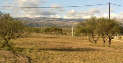 Lote 1.028 m2 en terrazas del Valle