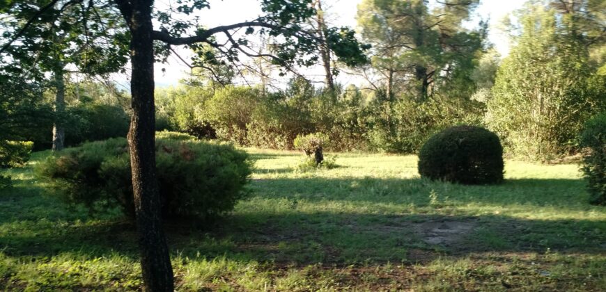 (Alq. Temp) casa con pileta en Las Rabonas