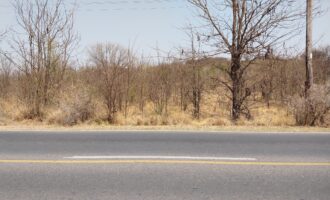 21.979 m2 sobre ruta en San Huberto, Nono
