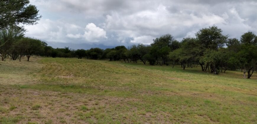 Complejo de cabañas zona vado Los Sanjuaninos Nono