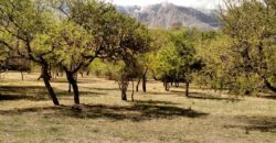 (Alq temp) Chalet de 2 plantas con pileta en El Huaico, Las Calles