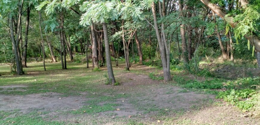 Complejo de 2 cabañas y pileta con lindas vistas