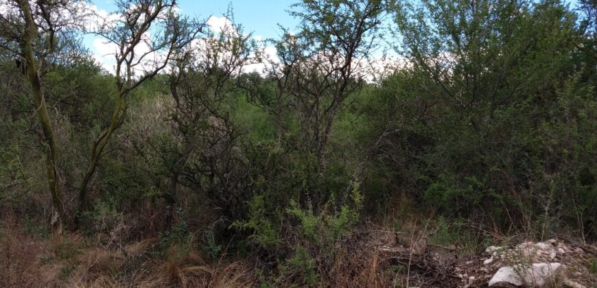 Lote esquina en B° El Tajamar Las Rabonas