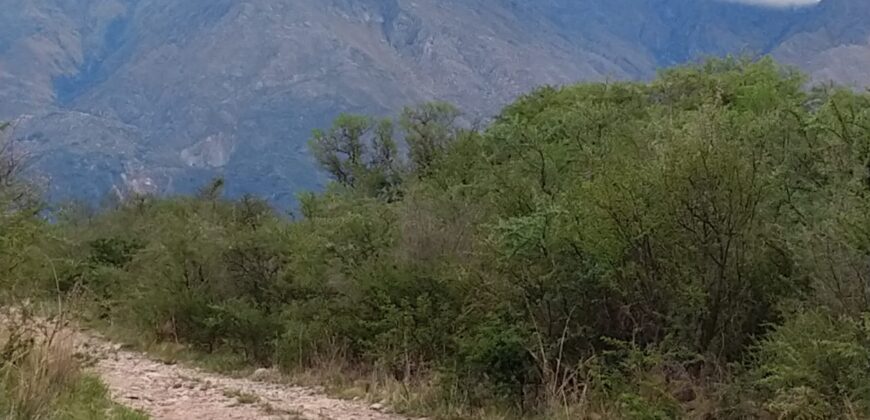 Lote esquina en B° El Tajamar Las Rabonas
