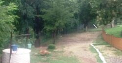 2 casas con pileta sobre ruta en Nono