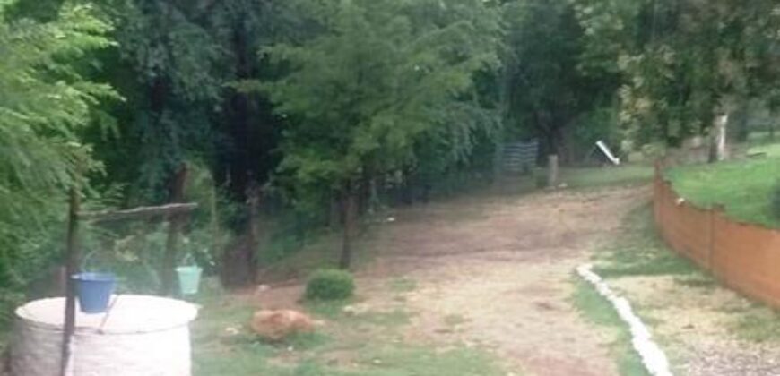 2 casas con pileta sobre ruta en Nono
