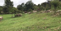 Casa de campo con pileta y lindas vistas en Panaholma