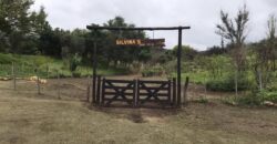 Casa de campo con pileta y lindas vistas en Panaholma