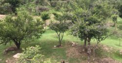 Casa de campo con pileta y lindas vistas en Panaholma