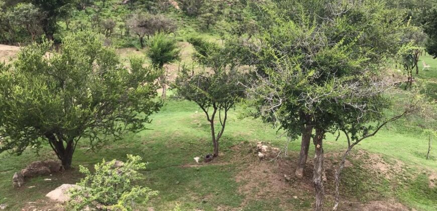 Casa de campo con pileta y lindas vistas en Panaholma