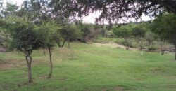 Casa de campo con pileta y lindas vistas en Panaholma