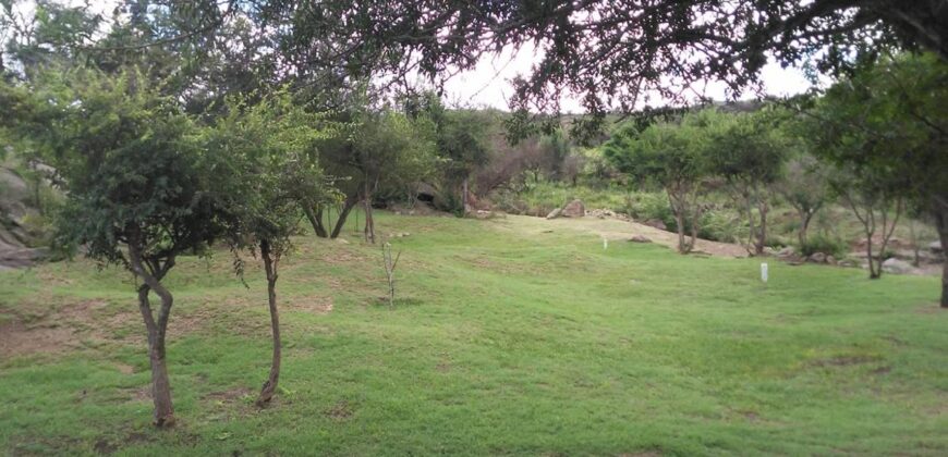 Casa de campo con pileta y lindas vistas en Panaholma