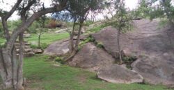 Casa de campo con pileta y lindas vistas en Panaholma