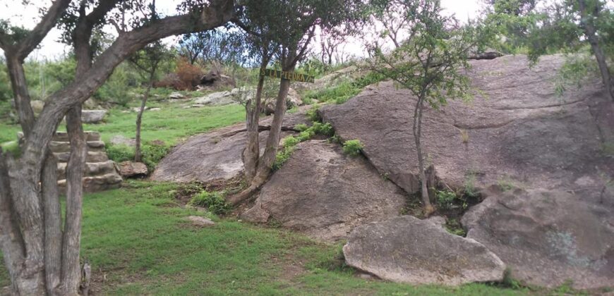 Casa de campo con pileta y lindas vistas en Panaholma