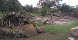 Casa de campo con pileta y lindas vistas en Panaholma