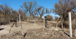 Terreno de 3.000 m2 en Las Rabonas con vistas únicas