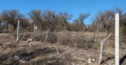 Terreno de 3.000 m2 en Las Rabonas con vistas únicas