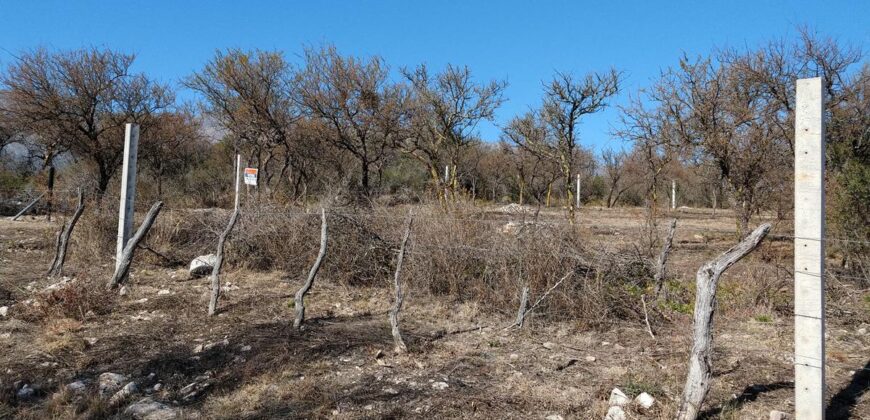 Terreno de 3.000 m2 en Las Rabonas con vistas únicas