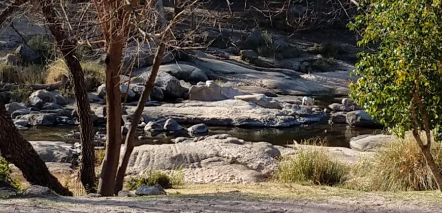 Hotel a metros del río Mina Clavero