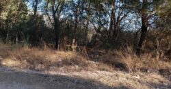 Fracción de terreno 46.960 m2 en Las Rabonas