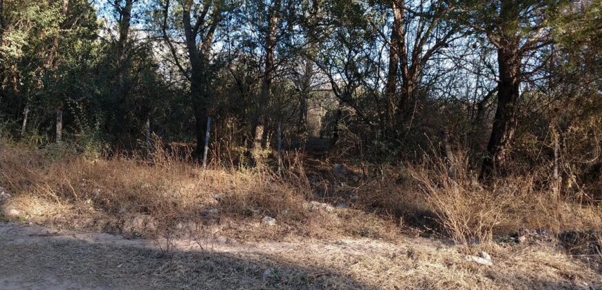 Fracción de terreno 46.960 m2 en Las Rabonas