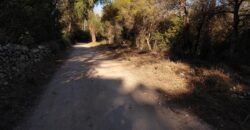Fracción de terreno 46.960 m2 en Las Rabonas