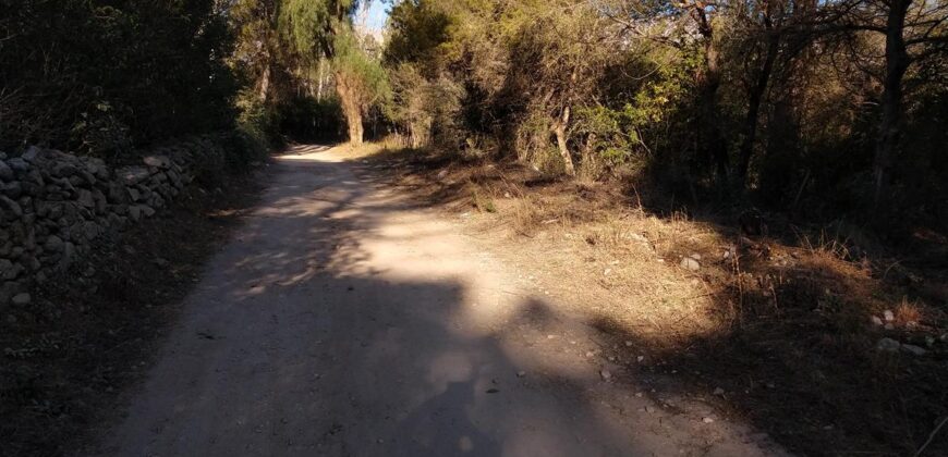 Fracción de terreno 46.960 m2 en Las Rabonas