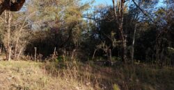 Fracción de terreno 46.960 m2 en Las Rabonas
