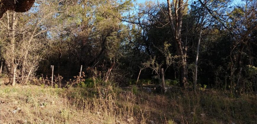 Fracción de terreno 46.960 m2 en Las Rabonas