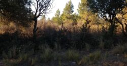 Fracción de terreno 46.960 m2 en Las Rabonas