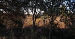 Fracción de terreno 46.960 m2 en Las Rabonas