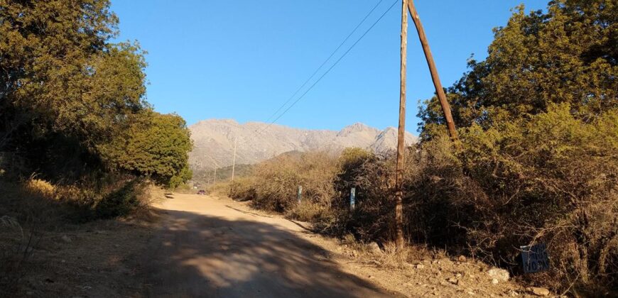 Fracción de terreno 46.960 m2 en Las Rabonas