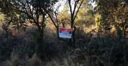 Fracción de terreno 46.960 m2 en Las Rabonas