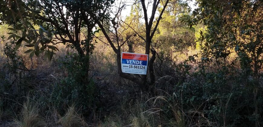 Fracción de terreno 46.960 m2 en Las Rabonas
